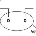 graph-5